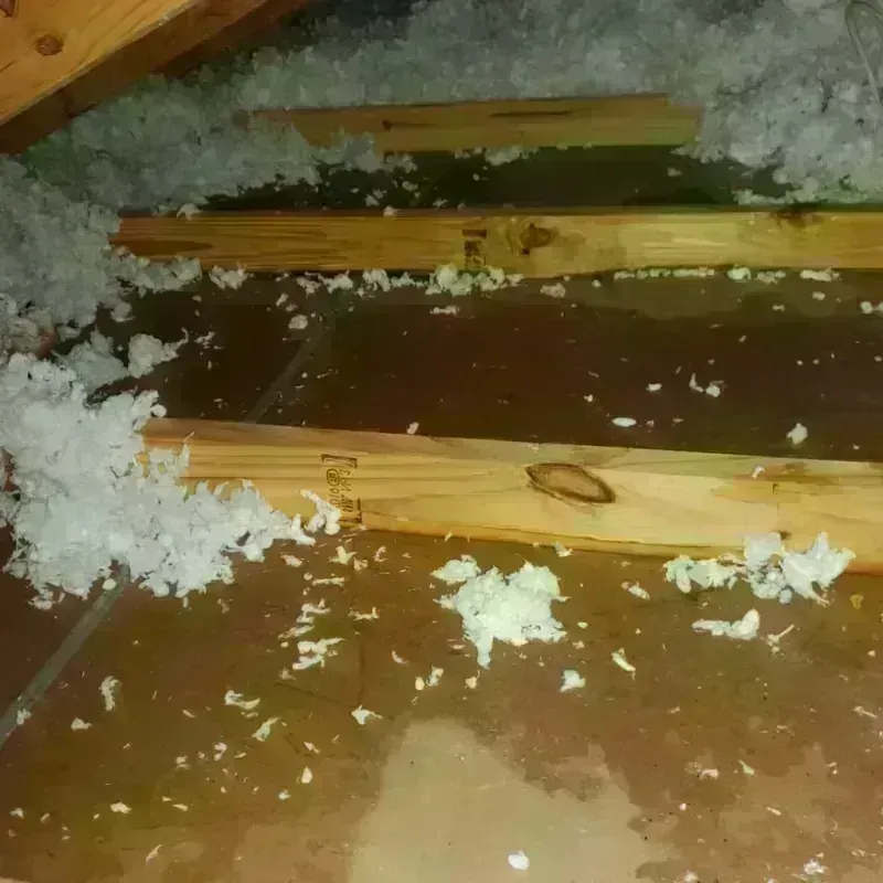 Attic Water Damage in Black Jack, MO